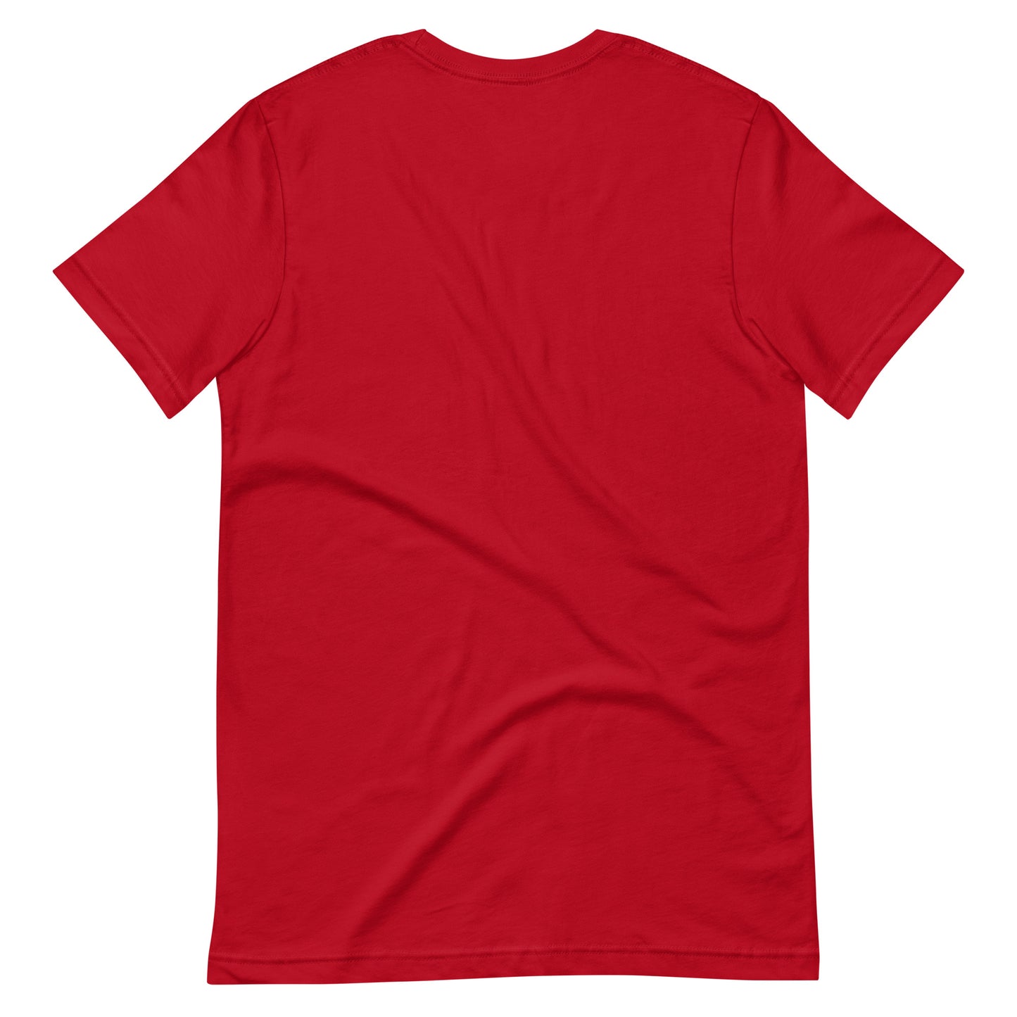 Pardon My Twang Unisex t-shirt
